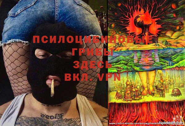 дмт Бикин